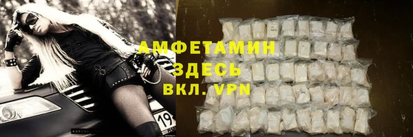 мет Алексин