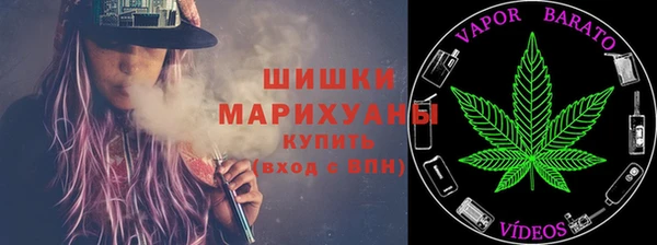 крисы Каменногорск
