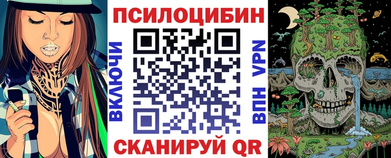 где можно купить   гидра зеркало  Псилоцибиновые грибы Magic Shrooms  Новотроицк 