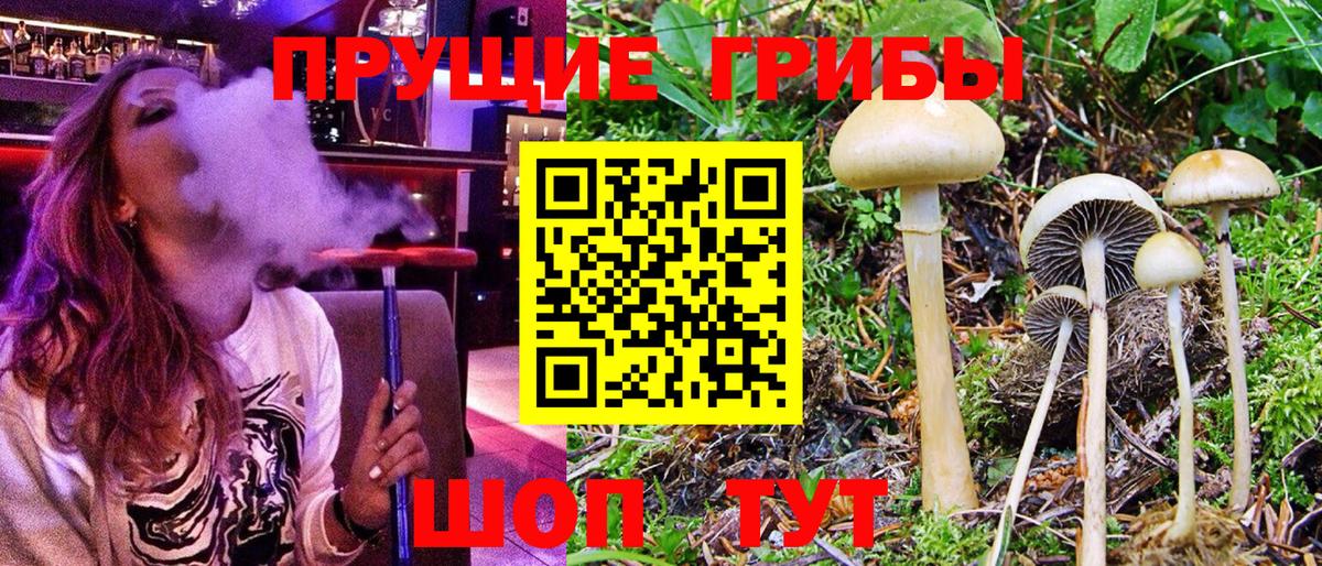 Псилоцибиновые грибы MAGIC MUSHROOMS Новотроицк