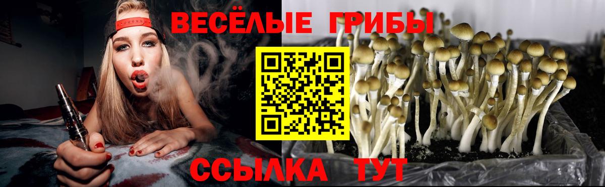 Новотроицк  Псилоцибиновые грибы Cubensis  как найти закладки  Вход с VPN 